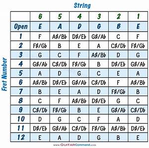 Guitar Strings Notes Chart Tab Info Master The Fretboard