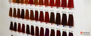 Top 100 Image Loreal Hair Color Chart Thptnganamst Edu Vn