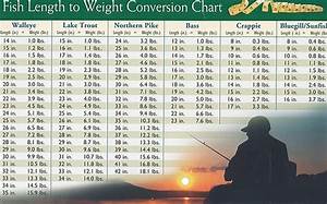 Fish Length To Weight Conversion Chart My Girl