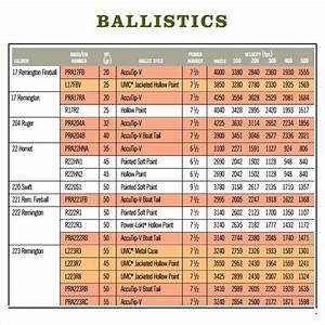 243 Cal Ballistic Chart