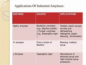 Amylase Production