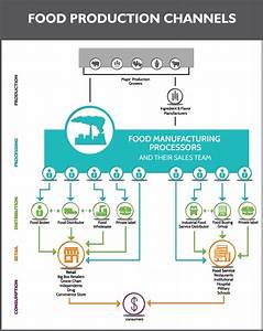 Food Industry Production Distribution Flow Chart Newpoint