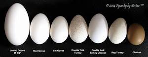 Egg Comparison Chart Pysanky And Batik Easter Eggs By Sojeo Pinterest