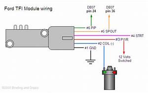 Ford Tfi Distributor Wiring Diagram