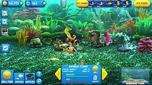 Fish Tycoon 2 How To Get Magic Fish Of Maturity Youtube