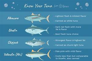 A Guide To Different Types Of Tuna Tuna Health Benefits Sushi Guide