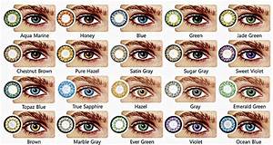 Hazel Eye Color Hex Code Img Abedabun D20 Eye Color Chart Genetics