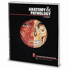 World 39 S Best Anatomical Chart Anatomy Pathology The World 39 S Best