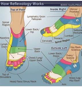 Pin By Diana Triscritti On Body Reflexology Acupressure Foot