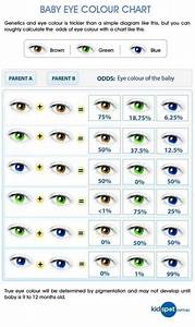17 Best Images About Eye Color Chart On Pinterest Brown Brown Amber