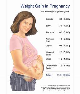 Weight Gain In Pregnancy Chart