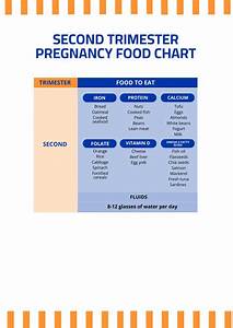 Free Monthly Pregnancy Food Chart Pdf Template Net
