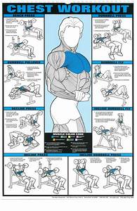 The Absolute Beginner 39 S Guide To Exercise With Images Chest Workouts