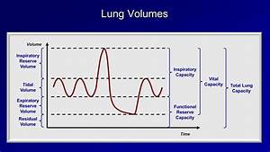 Pulmonary Function Tests Pft Lesson 1 An Introduction Career