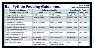 Ball Python Feeding Chart How Much To Feed A Ball Python Based On