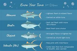 Know The Differences Between Different Types Of Tuna Tuna Fresh Tuna