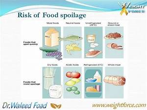 3rd Lecture Signs Of Food Spoilage