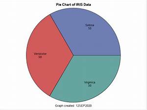 Learn How To Create Beautiful Pie Charts In Sas Sas Example Code