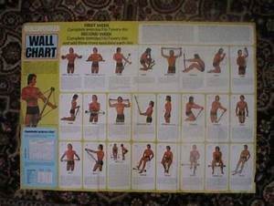 bullworker exercise chart with training videos show how to use the