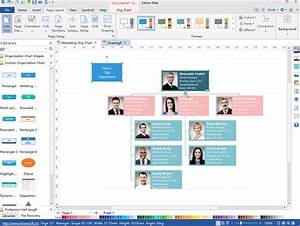 Org Chart For Business Org Charting