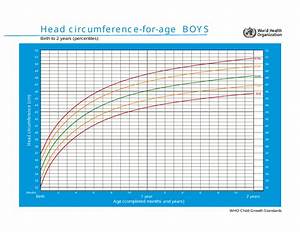 Who Boys Growth Chart Head Circumference For Age Birth To 2 Years
