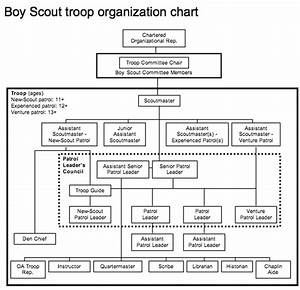 Boy Scout Troop Organization Chart Template Tutore Org Master Of