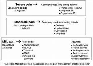 Pin On Pharmacology