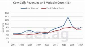 Cow Calf Producers Seeking Better Margins