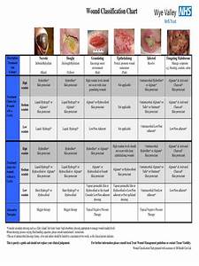 Wound Classification Chart 141 Wound Topical Medication