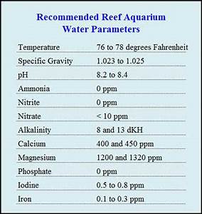 Saltwater Aquarium Water Parameters Aquatic Experts