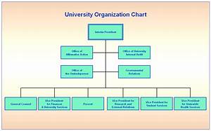 University Structure Chart