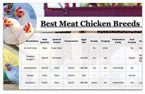 Best Meat Chickens Chart