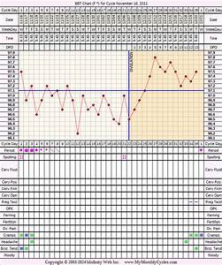 Let 39 S Make A Baby Our Journey With Infertility Bbt Charts