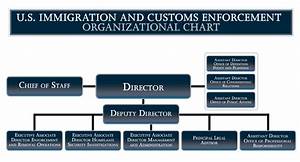 U S Immigration And Customs Enforcement Ballotpedia