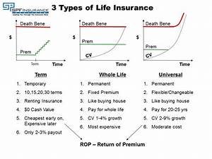 How Does Life Insurance Work What Is It Term Whole Life Universal