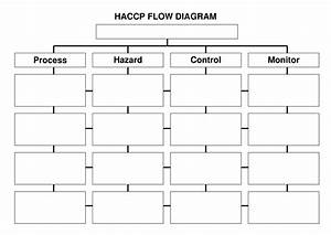 6 Best Images Of Blank Haccp Flow Chart Template Printable