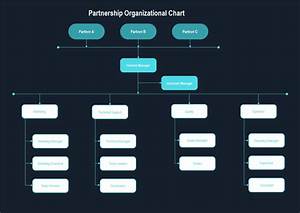 Partnership Organizational Chart A Detailed Guide General