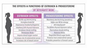 Beyond Fit Fix Your Fat Fighting Hormones Day 1 Estrogen