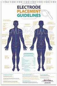 arm chart bing images np students pinterest