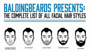 The Ultimate Chart Of All Facial Hair Styles Infographic