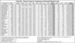 Food Calorie Chart Template Business