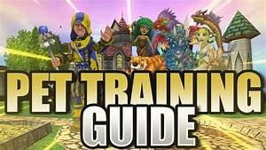 Wizard101 Pet Training Guide Youtube