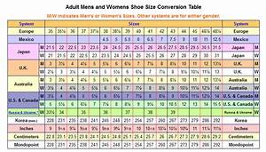 A Guide On To Female Shoe Sizes Boutique