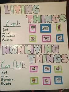 Living Non Living Things Chart