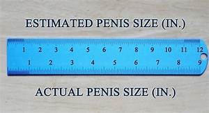 Girls Tend To Exaggerate Size Here 39 S A Ruler To Convert Perceived