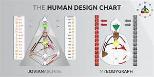 Chart Of Human Body Parts