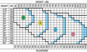 Spanx Size Chart Amulette