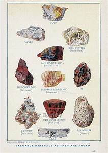 Metal Ores Valuable Minerals Chart Edwardian Era 1912 Geology Etsy