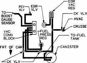 1987 Buick Grand National Vacuum Diagram