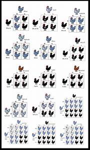 Chicken Chart Sweet Southern Blue Pinning With My Peeps